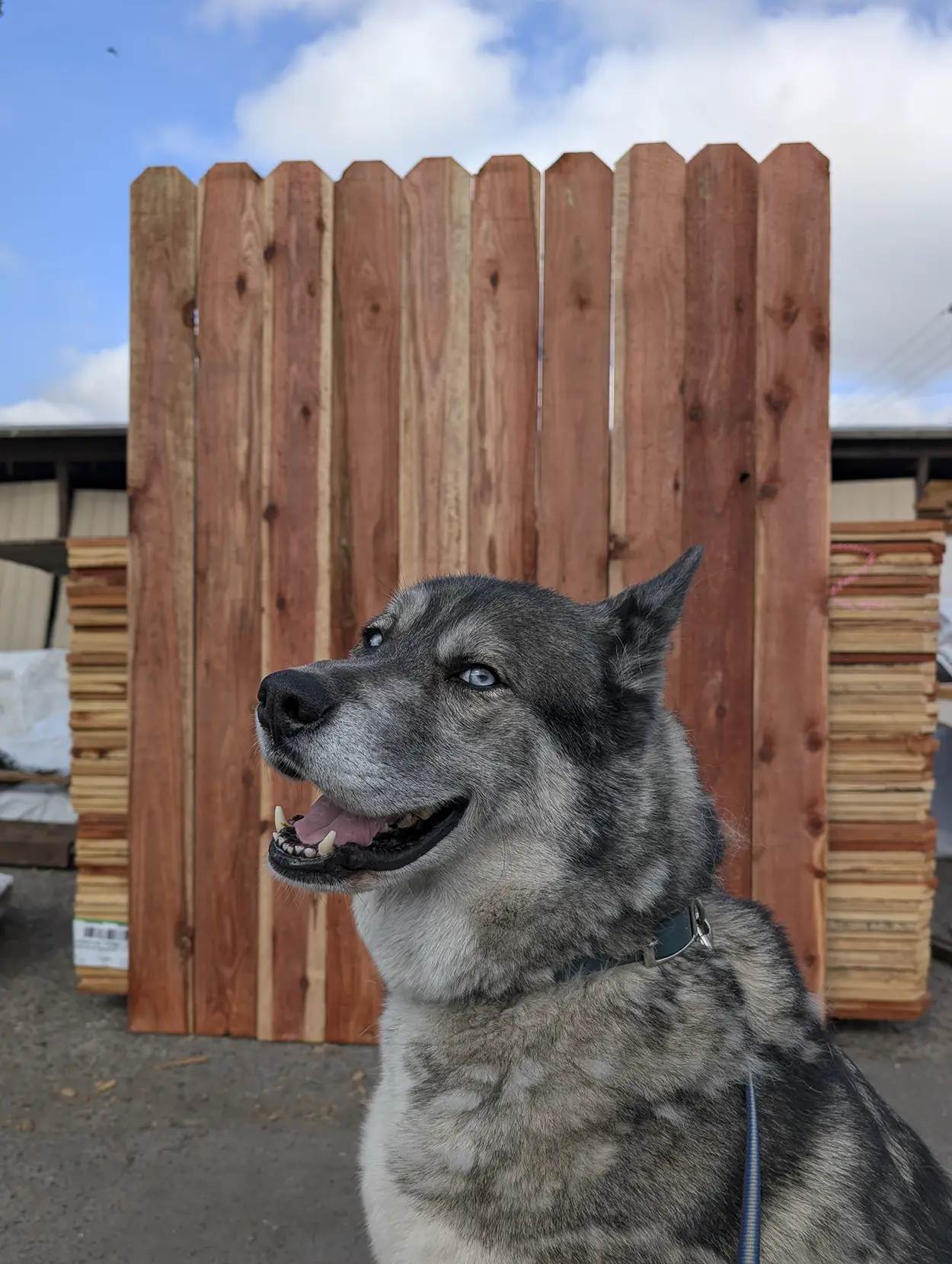 1x6x6' Redwood Dog Ear Fence Boards
